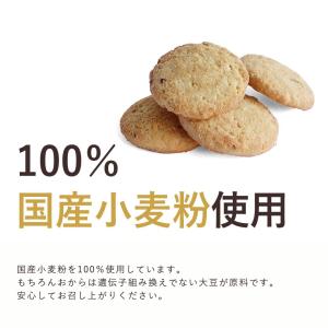 おからクッキー 国産小麦 500g レーズン風...の詳細画像4