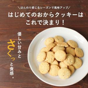 おからクッキー 国産小麦 500g レーズン風...の詳細画像5