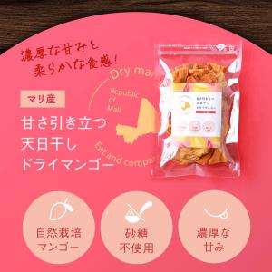 ドライマンゴー 無添加 140g(70g×2袋...の詳細画像4