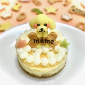 犬 似顔絵ケーキの商品一覧 通販 Yahoo ショッピング
