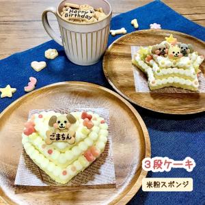 選べる３色わんこの３段ケーキ（犬用ケーキ  セミオーダー 米粉 誕生日 無添加）｜gioiawanko