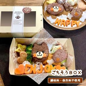 わんこの特製ごちそうBOX 無添加（ 犬用 行楽 弁当 ご飯 鹿肉 馬肉 セミオーダー ディナー 誕生日 ギフト）｜gioiawanko