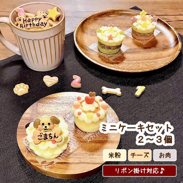 わんこのミニケーキセット ２〜３個（犬用ケーキセット 無添加 誕生日 名入れ 米粉 鹿肉 馬肉 チー...