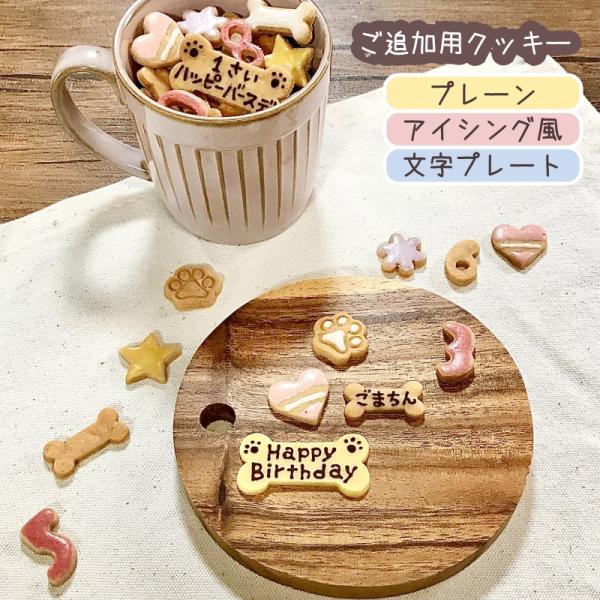 【同時購入限定】おまかせ色アイシングクッキー（ご追加用）