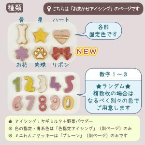 【ご追加専用】おまかせ色アイシングクッキーの詳細画像1