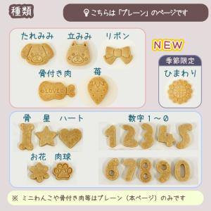 【ご追加専用】プレーンクッキーの詳細画像1