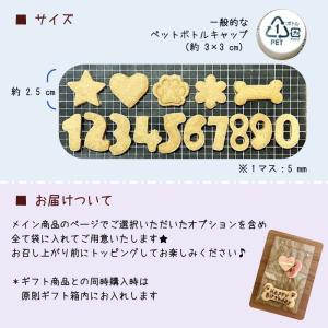 【ご追加専用】プレーンクッキーの詳細画像2