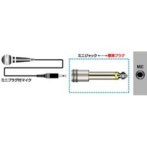 JVCケンウッド　変換アダプター ミニジャック⇔標準プラグ  AP-100A｜gion