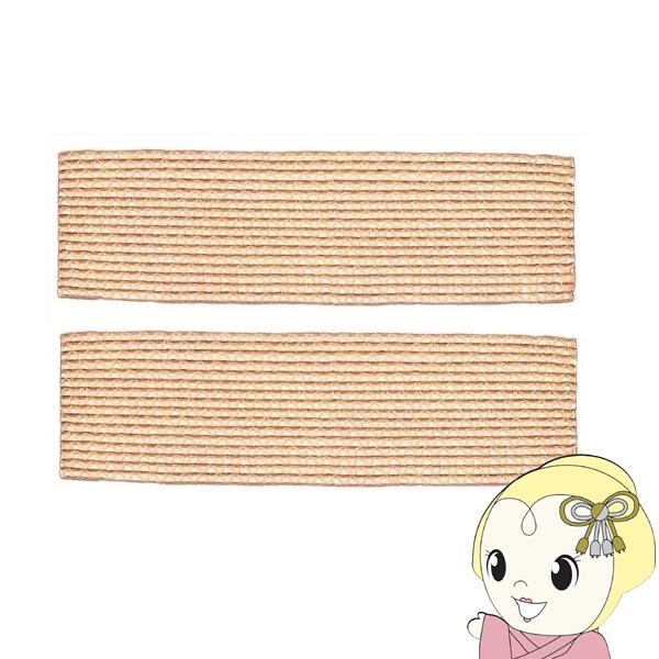 SHARP シャープ エアコン用 脱臭集じんフィルター 2枚入り AZ-53BC