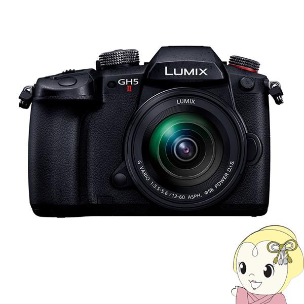 Panasonic LUMIX Gシリーズ ミラーレス DC-GH5M2M 標準ズームレンズキット ...