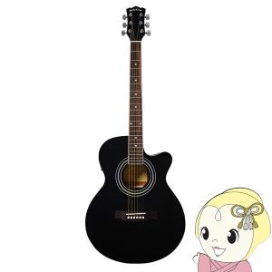 【メーカー直送】Sepia crue エレアコ アコースティックギター EAW-01-BK｜gion