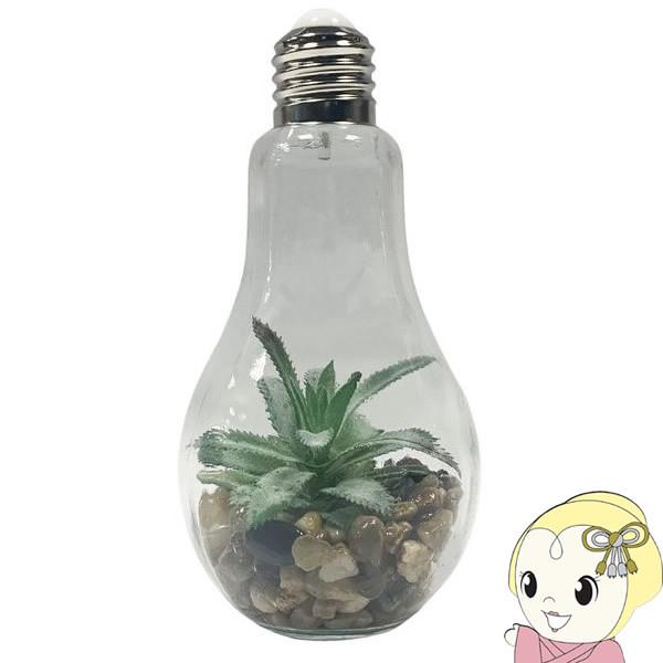 En Fance 電球型インテリアライト B Terrarium テラリウム EF-RL02B