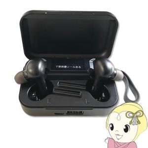 ダイニチ電子 Wizz 10.1インチ ポータブルブルーレイディスク DVD