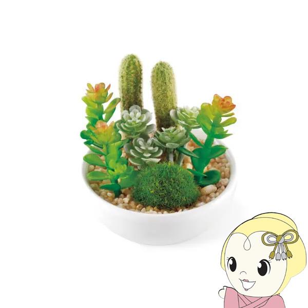 キシマ Succulent Refrerium サキュレントリフレリウム 消臭アーティフィシャルグリ...