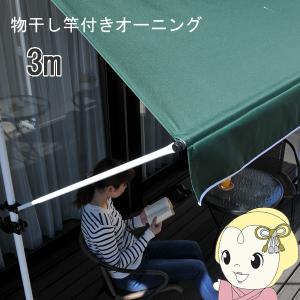 Living out 物干し竿付きオーニング4 TAN-900-30A(BR)3m ブラウン 
