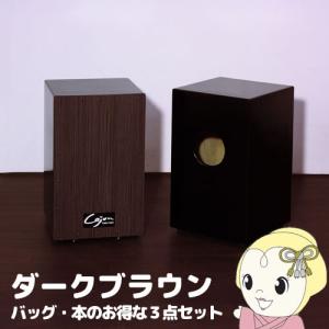 予約]【メーカー直送】TCA-2 友澤木工 カホン(スナッピー付) : ぎおん