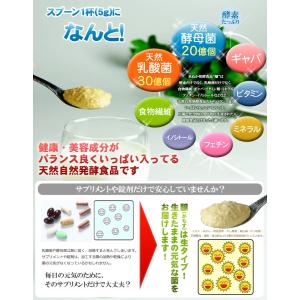 無農薬 オーガニック そのまま食べれる 発酵食...の詳細画像3