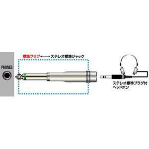 JVCケンウッド　変換アダプター 標準プラグ⇔ステレオ標準ジャック  AP-101A｜gioncard