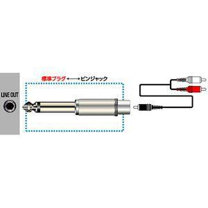 JVCケンウッド　変換アダプター 標準プラグ⇔ピンジャック  AP-102A｜gioncard