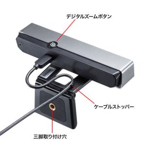 サンワサプライ 会議用ワイドレンズカメラ CM...の詳細画像5