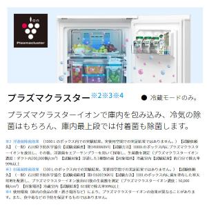 [予約 約2-3週間以降]冷凍庫 冷蔵庫 シャ...の詳細画像2