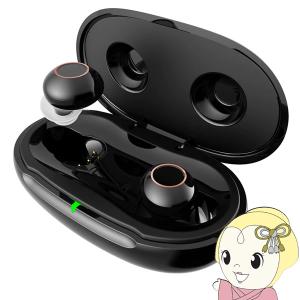 集音器 イヤホン ワイヤレス シューホン 音声拡張器 イヤホン型