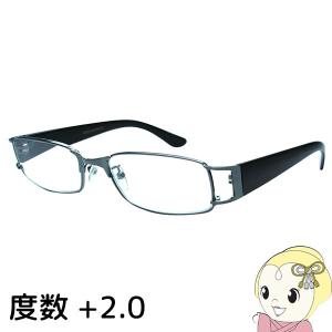 ANYCCS エニックス リーディンググラス 男性向け 老眼鏡 VIEW ADVANCE Male VAM-03-1 展開度数 2.00