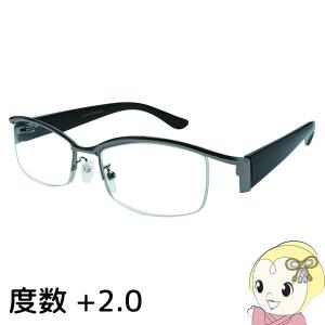 ANYCCS エニックス リーディンググラス 男性向け 老眼鏡 VIEW ADVANCE Male VAM-06-1 展開度数 2.00