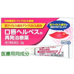 口唇ヘルペス市販薬 アシクロビル軟膏α 2g