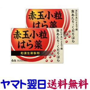 赤玉小粒はら薬 6包 ×2個セット 下痢や食あたりにの商品画像