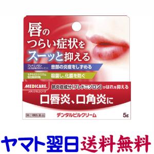 デンタルピルクリーム 5g 唇のピリピリ感に メディケア