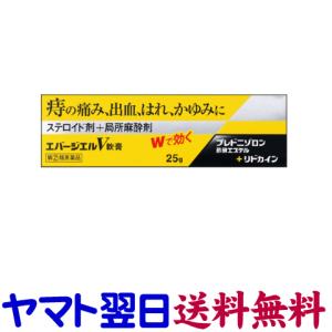 予約販売 6480円以上のお買い上げで送料無料です クリックポスト送料無料 AJD 中外医薬生産 エバージエルV軟膏 25g 痔治療薬 learnrealjapanese.com 予約販売 6480円以上のお買い上げで送料無料です クリックポスト送料無料 AJD 中外医薬生産 エバージエルV軟膏 25g 痔治療薬 learnrealjapanese.com