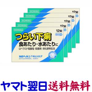 ガロヘパン 下痢止め薬 12錠 ×5個セット ロ...の商品画像