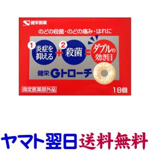 gionsakura_kenei-gtroche