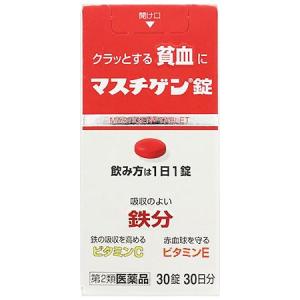 マスチゲン錠 30錠