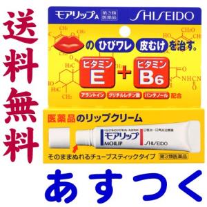 モアリップA 8g 資生堂薬品