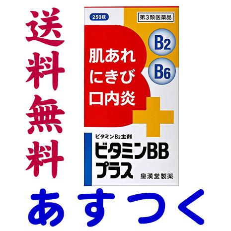 ビタミンBBプラス 250錠