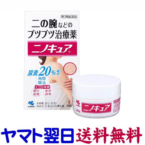 ニノキュア 30g 二の腕ブツブツ治療薬 小林製薬