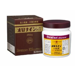 オロナインH軟膏 250g（瓶）｜gionsakura