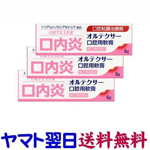 オルテクサー口腔用軟膏 5g ×3個セット ケナログAと同じ有効成分の口内炎薬