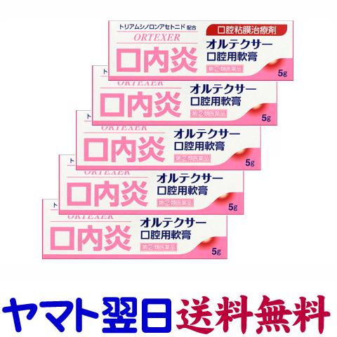オルテクサー口腔用軟膏 5g ×5個セット ケナログAと同じ有効成分の口内炎薬