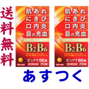 ピュアナBB錠 250錠 X 2個セット｜gionsakura