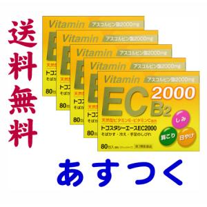 トコスタシーエースEC2000 80包 X 5個セット｜gionsakura