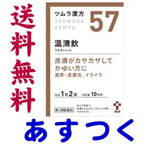 温清飲 20包 ツムラ漢方薬 57｜gionsakura