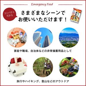 5年 保存防災食 神州一味噌 ポケットワン お...の詳細画像4