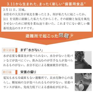 5年保存 非常食 ライフストック 世界初 LI...の詳細画像1