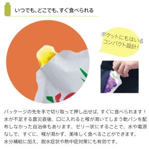 5年保存 非常食 ライフストック 世界初 LI...の詳細画像2