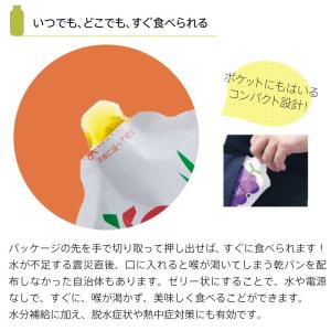 5年保存 非常食 ライフストック 世界初 LI...の詳細画像3