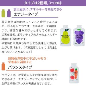 5年保存 非常食 ライフストック 世界初 LI...の詳細画像5