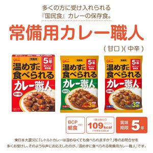 5年保存 非常食 江崎グリコ 常備用カレー職人...の詳細画像1